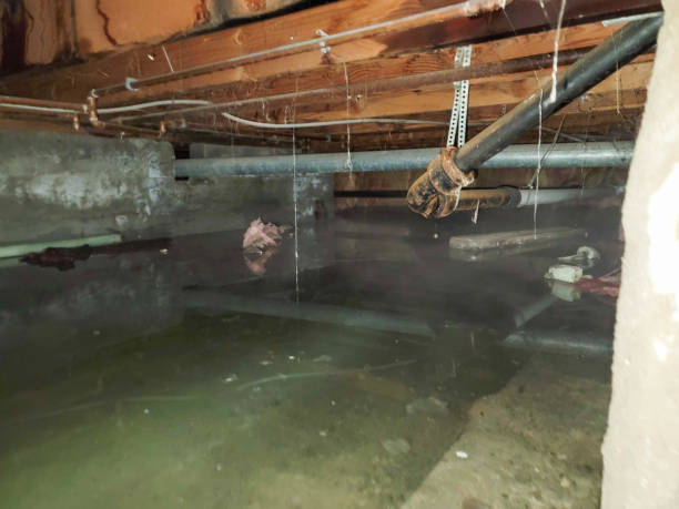 Best Commercial water damage restoration  in , KS