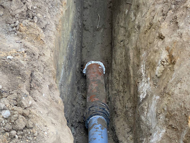 Best Flood damage cleanup  in , KS