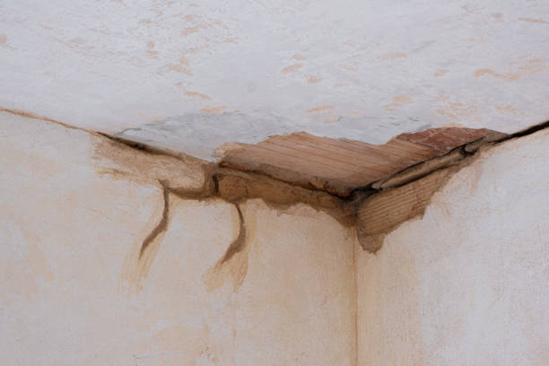Best Water damage cleanup near me  in , KS