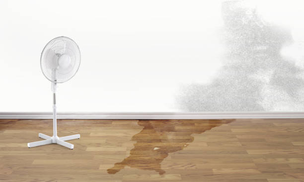  , KS Water damage restoration Pros