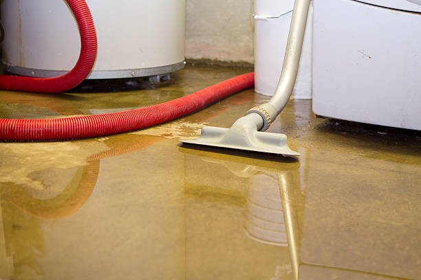 Best Basement water damage restoration  in , KS