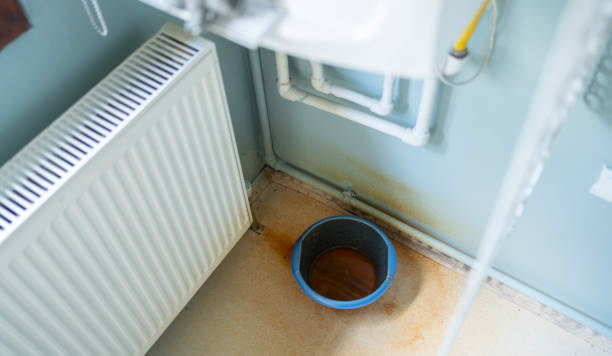 Best Carpet water damage restoration  in , KS